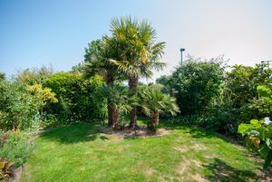 Garden- click for photo gallery